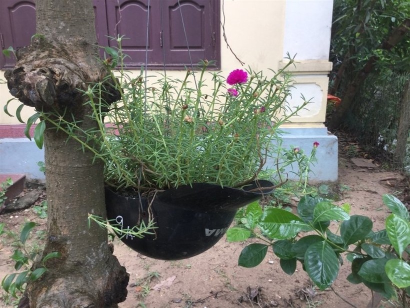 "Một ngày ở Việt Nam" khiến cộng đồng mạng thế giới... "phát sốt" ảnh 21