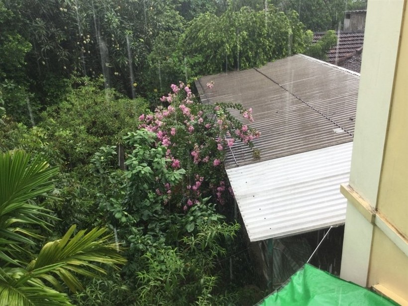 "Một ngày ở Việt Nam" khiến cộng đồng mạng thế giới... "phát sốt" ảnh 31