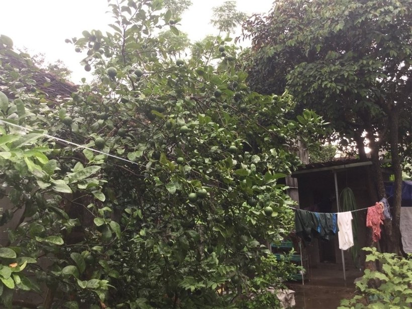 "Một ngày ở Việt Nam" khiến cộng đồng mạng thế giới... "phát sốt" ảnh 39