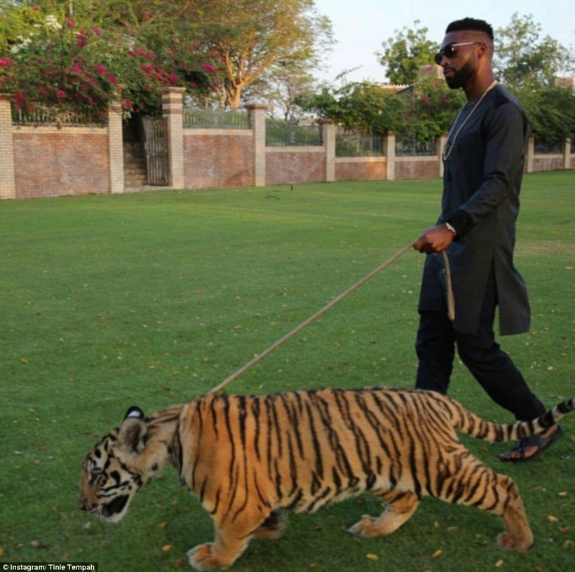 1001 cách khoe của hợm hĩnh ở giới siêu giàu ảnh 2