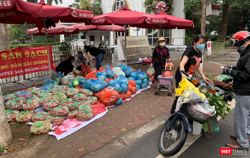 Nông sản được bán &quot;giải cứu&quot; tại điểm Skyline Coffee bán đảo Hoàng Cầu là cà chua và bắp cải.