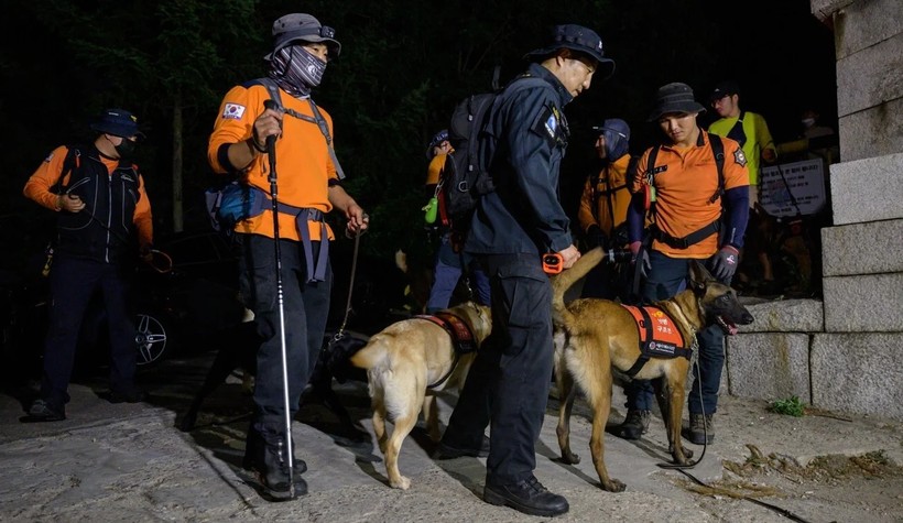 Đội tìm kiếm được triển khai trong chiến dịch truy tìm ông Park Won-soo (Ảnh: AFP)