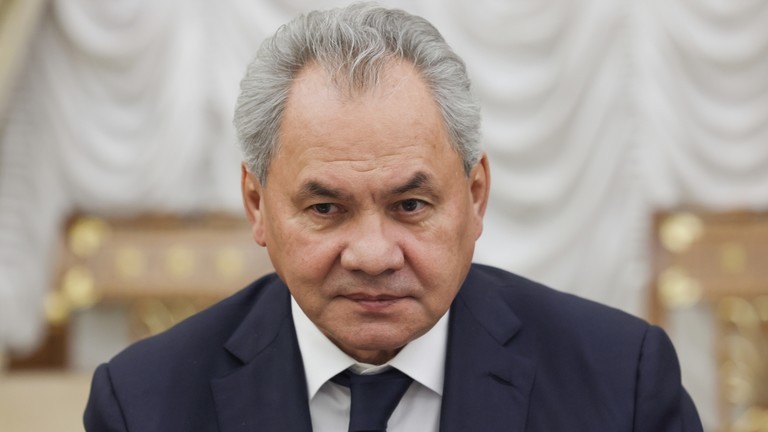 Thư ký Hội đồng An ninh Nga Sergey Shoigu. Ảnh: Sputnik.