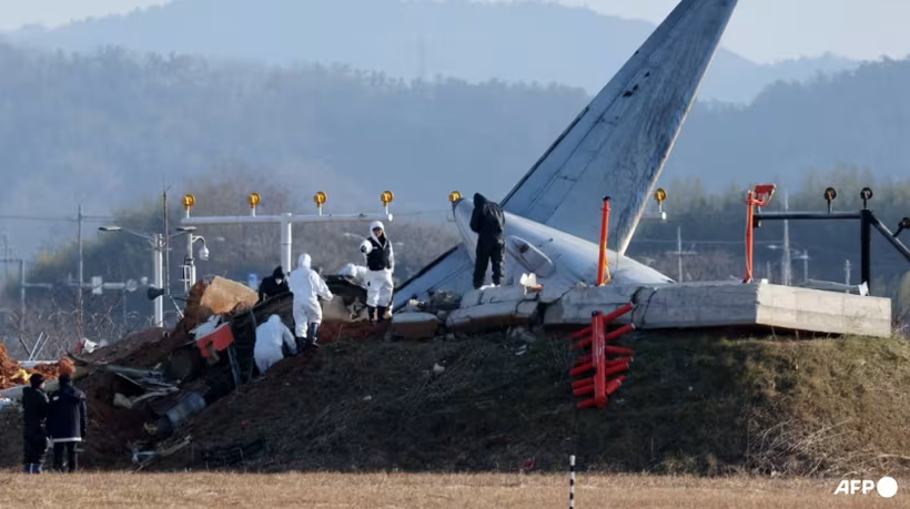 Các quan chức tham gia điều tra tại địa điểm máy bay Boeing 737-800 của hãng hàng không Jeju Air bị rơi và bốc cháy tại sân bay quốc tế Muan ngày 1/1. Ảnh: AFP.