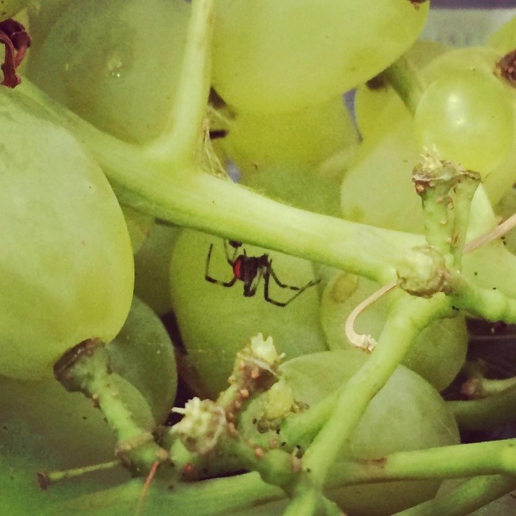 Ảnh: BrightSide Ảnh: BrightSide