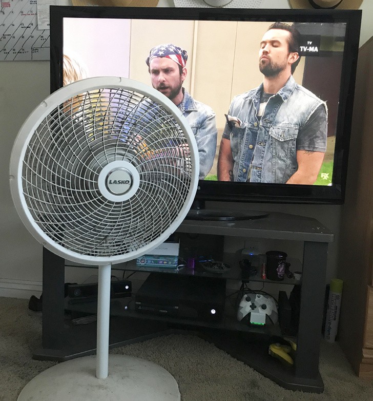 Ảnh: BrightSide Ảnh: BrightSide