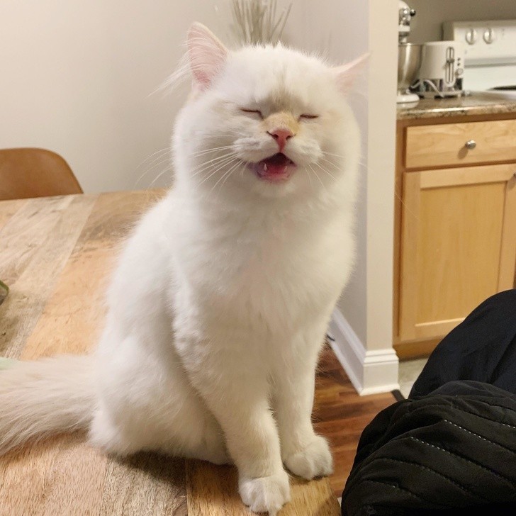 Ảnh: BrightSide Ảnh: BrightSide