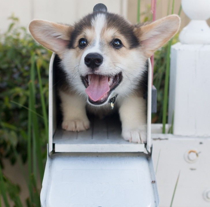 Ảnh: BrightSide Ảnh: BrightSide