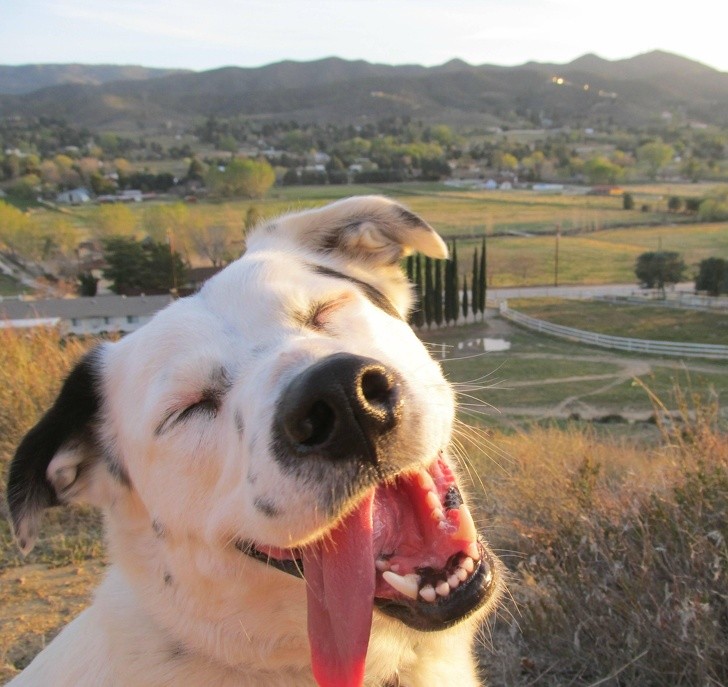 Ảnh: BrightSide Ảnh: BrightSide