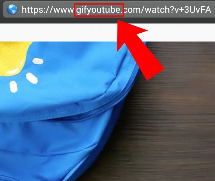 Ảnh: BrightSide Ảnh: BrightSide