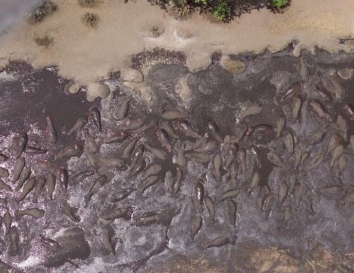 Ảnh: BrightSide Ảnh: BrightSide