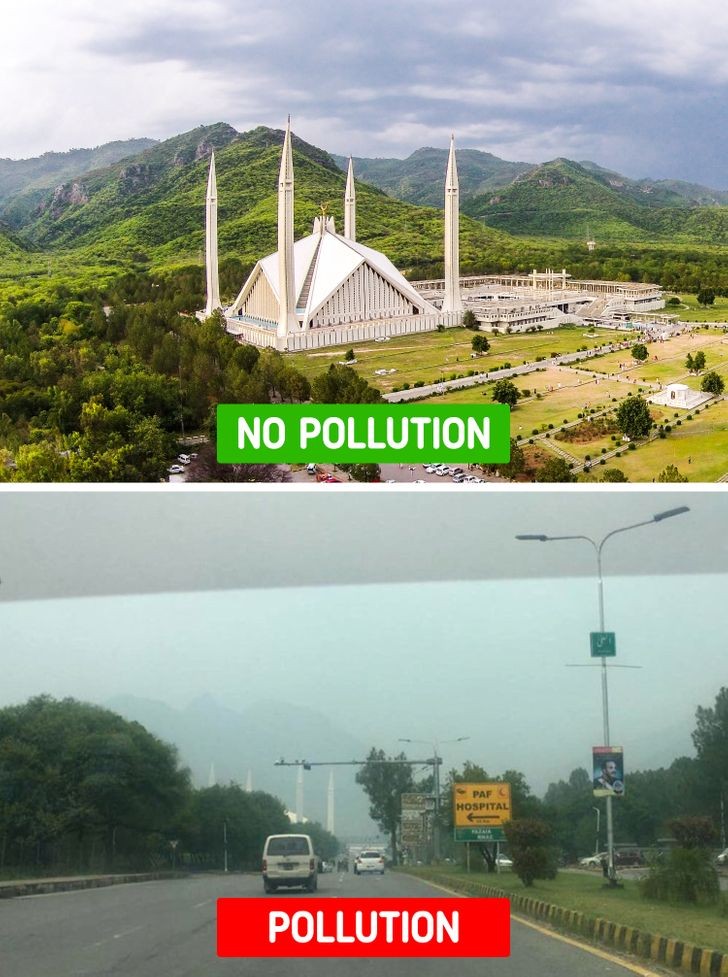 Ảnh: BrightSide Ảnh: BrightSide