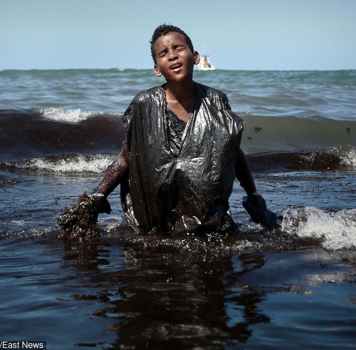 Ảnh: BrightSide Ảnh: BrightSide