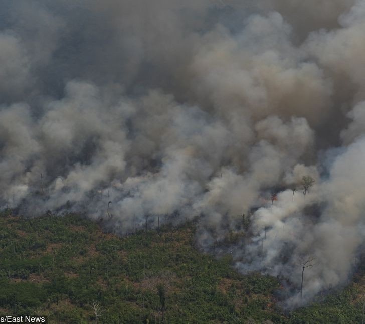 Ảnh: BrightSide Ảnh: BrightSide