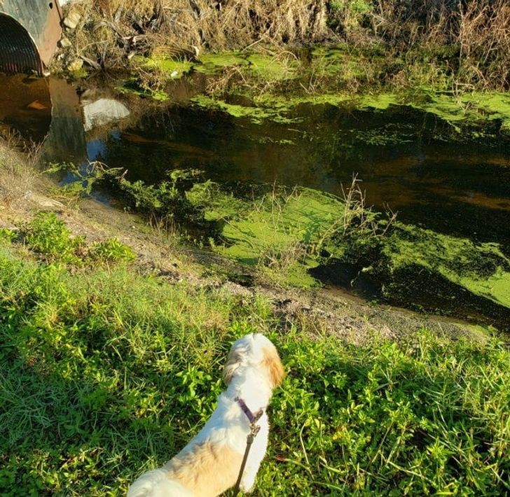 Ảnh: BrightSide Ảnh: BrightSide