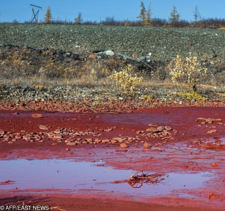 Ảnh: BrightSide Ảnh: BrightSide