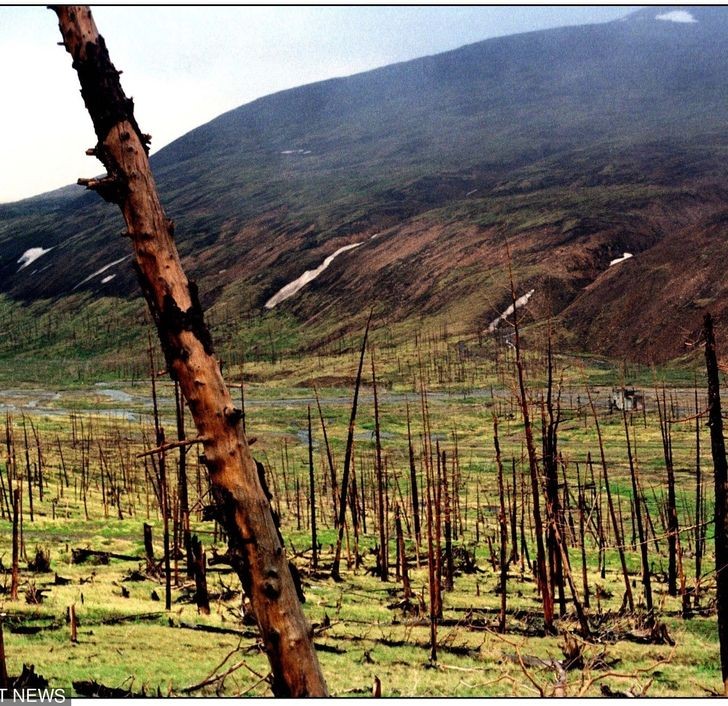 Ảnh: BrightSide Ảnh: BrightSide