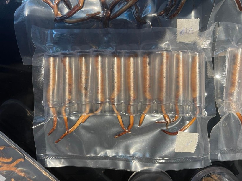 Lô hàng bị thu giữ. Ảnh: Tổng cục QLTT Lô hàng bị thu giữ. Ảnh: Tổng cục QLTT