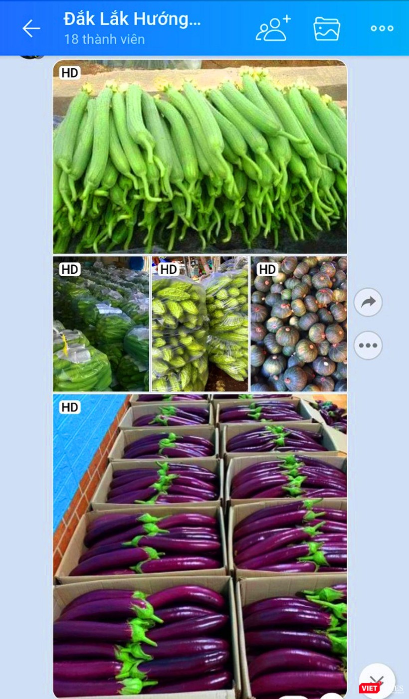 "Cách cho" thể hiện tấm lòng của nhà vườn gửi đến Team "Rau Đắk Lắk..." "Cách cho" thể hiện tấm lòng của nhà vườn gửi đến Team "Rau Đắk Lắk..."