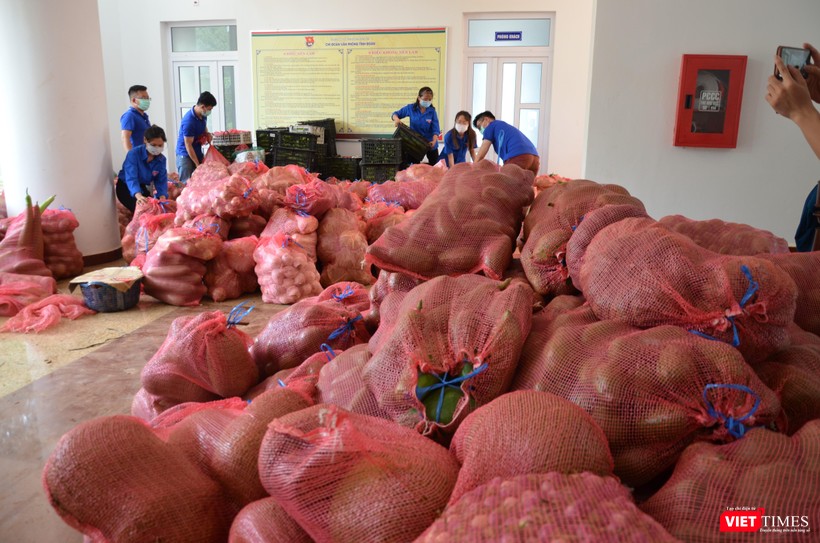 Tỉnh Đoàn thành nơi tập kết rau củ quả cho UB MTTQ tỉnh Tỉnh Đoàn thành nơi tập kết rau củ quả cho UB MTTQ tỉnh