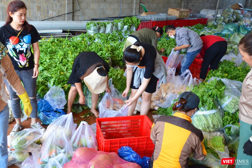 Team Rau 47 hối hả đóng gói hàng Team Rau 47 hối hả đóng gói hàng