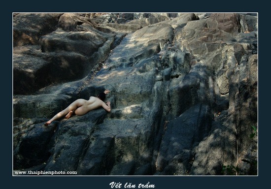 Vết lăn trầm Vết lăn trầm