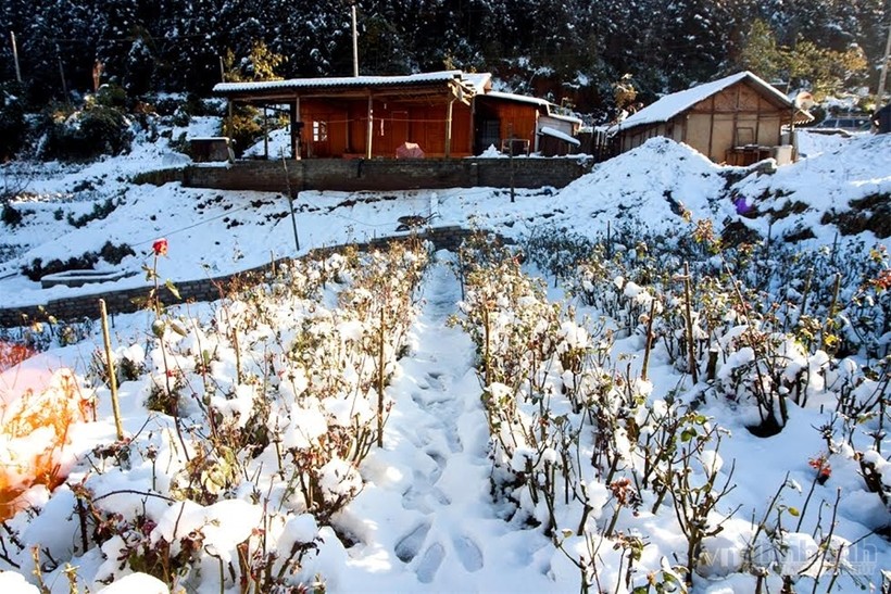 Ngắm tuyết trên những thửa ruộng bậc thang ở “nóc nhà Đông Dương“ ảnh 1 Ngắm tuyết trên những thửa ruộng bậc thang ở “nóc nhà Đông Dương“ ảnh 1