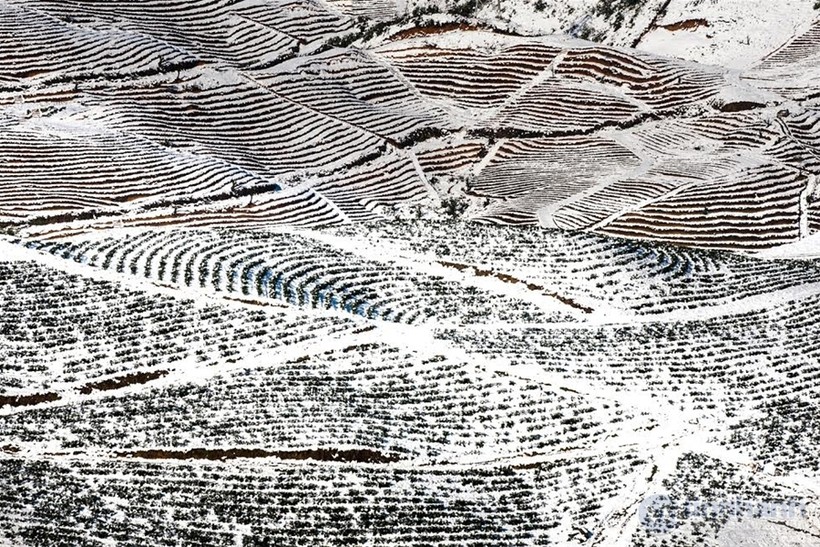 Ngắm tuyết trên những thửa ruộng bậc thang ở “nóc nhà Đông Dương“ ảnh 5 Ngắm tuyết trên những thửa ruộng bậc thang ở “nóc nhà Đông Dương“ ảnh 5