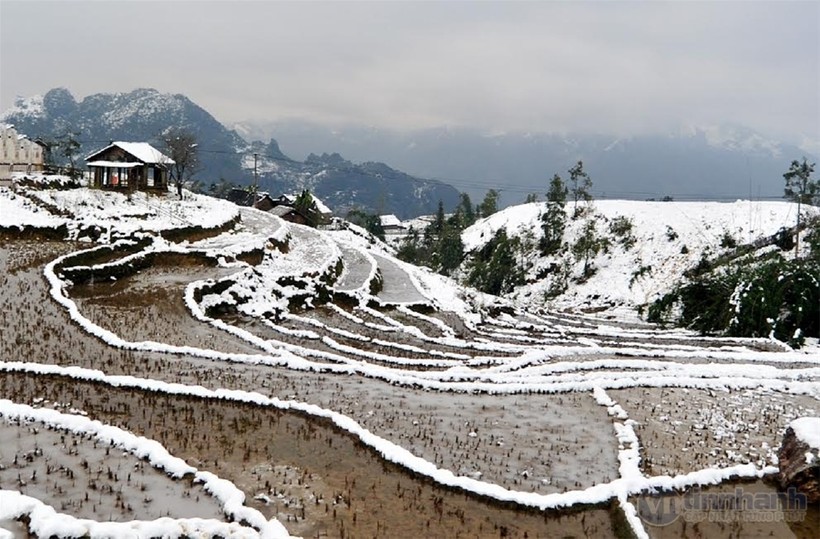 Ngắm tuyết trên những thửa ruộng bậc thang ở “nóc nhà Đông Dương“ ảnh 8 Ngắm tuyết trên những thửa ruộng bậc thang ở “nóc nhà Đông Dương“ ảnh 8