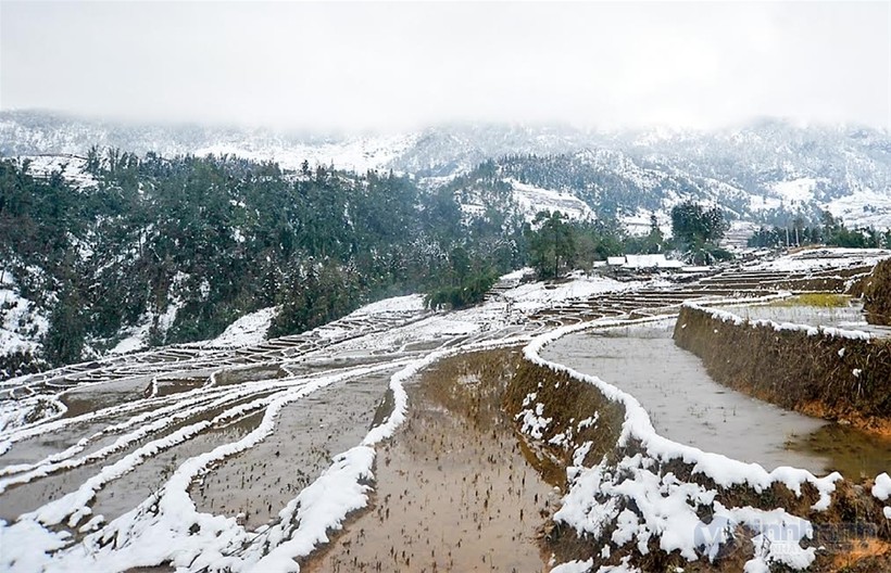 Ngắm tuyết trên những thửa ruộng bậc thang ở “nóc nhà Đông Dương“ ảnh 12 Ngắm tuyết trên những thửa ruộng bậc thang ở “nóc nhà Đông Dương“ ảnh 12