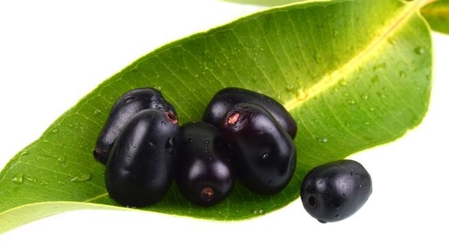 Cây trâm Cây trâm