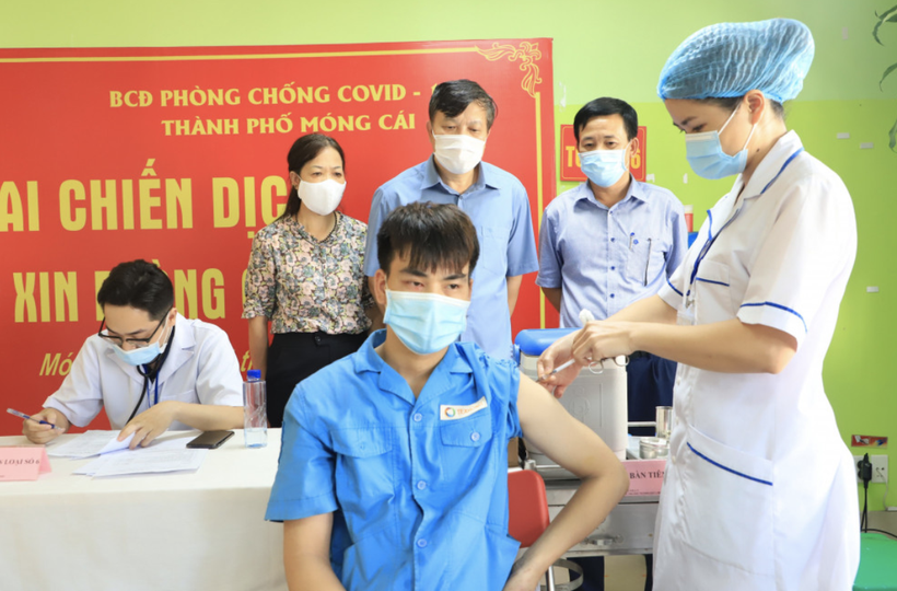 Quảng Ninh triển khai tiêm hơn 80.000 liều vaccine Vero Cell của Sinopharm (Ảnh - SYT Quảng Ninh)