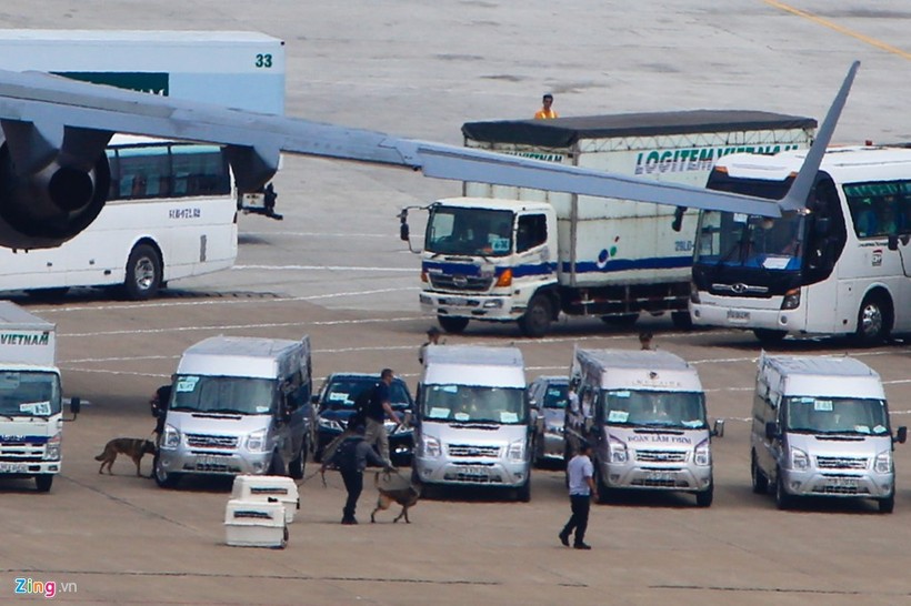 Sáng 22/5, những chú chó nghiệp vụ của Mỹ đã xuất hiện tại sân bay Tân Sơn Nhất, TP HCM.