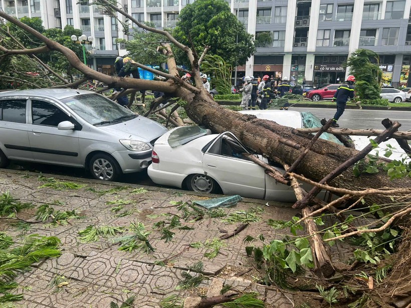 Hà Nội chỉ đạo khắc phục, giải tỏa cây xanh gãy, đổ. Anh 1.jpeg