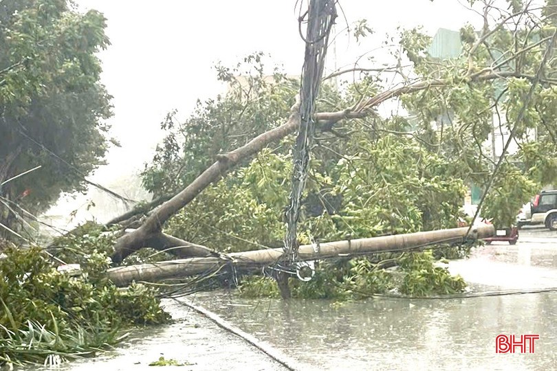 Nguyên nhân mất điện phần lớn do cây cối đổ vào đường dây điện. Ảnh: Báo Hà Tĩnh.