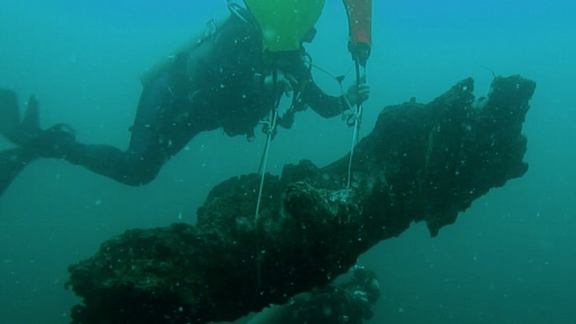 Kỳ lạ khu rừng cổ đại 60.000 năm tuổi được bảo tồn nguyên vẹn dưới đáy biển