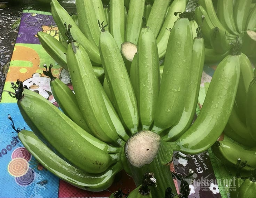 chuoi-xanh-66395.JPG