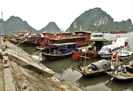 Vân Đồn có cơ chế đặc biệt để phát triển