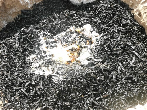 Bắt vụ vận chuyển 72 kg đỉa sấy khô từ Campuchia vào Việt Nam ảnh 5