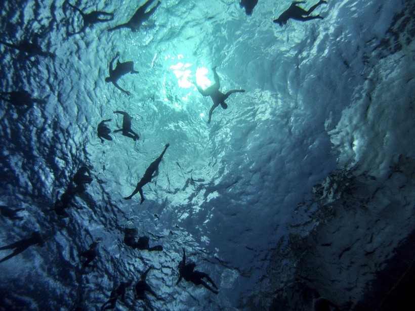 Thủy thủ trên tàu USS Halsey, khu trục hạm tên lửa lớp Arleigh Burke, bơi lội trên biển Philippines. Thủy thủ trên tàu USS Halsey, khu trục hạm tên lửa lớp Arleigh Burke, bơi lội trên biển Philippines.
