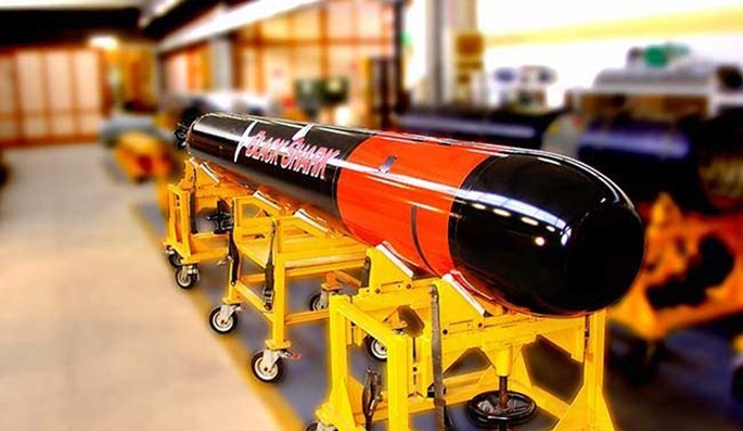 Tàu ngầm Ấn Độ tự đóng như 'hổ không nanh' - ảnh 2