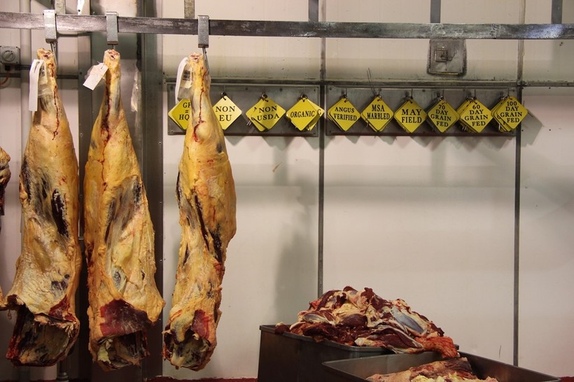 Trong vòng 24 giờ trước khi con vật bị giết thịt, thanh tra an toàn thực phẩm sẽ kiểm tra nhằm đảm bảo chúng khỏe mạnh, có thể cung cấp thịt đáp ứng nhu cầu tiêu thụ của con người. Trong hình là thịt bò tại Bindaree, một trong những lò mổ theo hình thức gia đình lớn nhất tại Australia. Tại đây, người ta xử lý khoảng 1.200 con mỗi ngày. Ảnh:Jesspryles.com