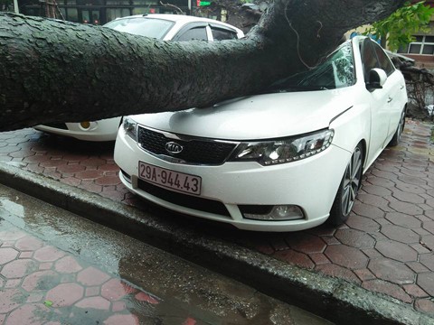 Bão số 3 tác động mạnh hơn tới Hà Nội, địa phương nằm sâu trong nội địa