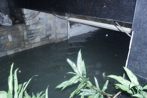 Cơn mưa lớn nhất từ đầu năm, trên diện rộng khiến nước tràn vào hầm ngầm một số toà nhà trên đường Phan Xích Long (Bình Thạnh).