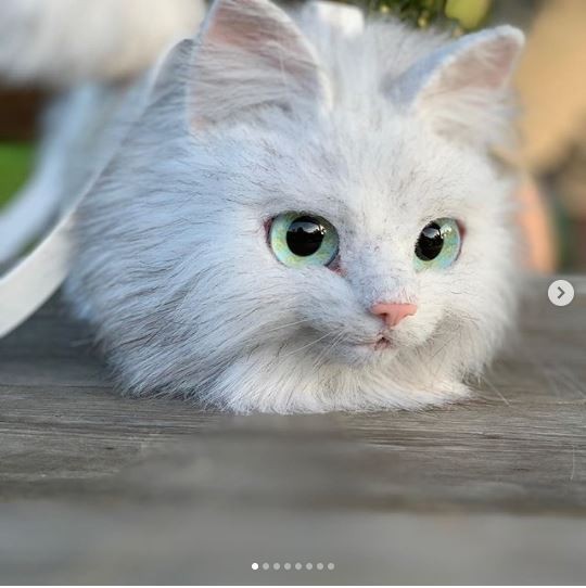 Pico không có ý định hợp tác sản xuất sản phẩm số lượng lớn (Ảnh: Instagram)