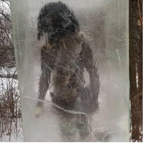 Tác phẩm gây xôn xao công đồng mạng tại Mỹ những ngày vừa qua (Ảnh: Ladbible)