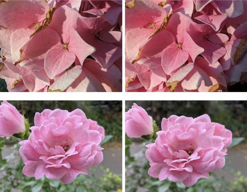 Camera Pixel 8 Pro 5.png