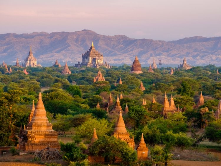 Ảnh: Business Insider