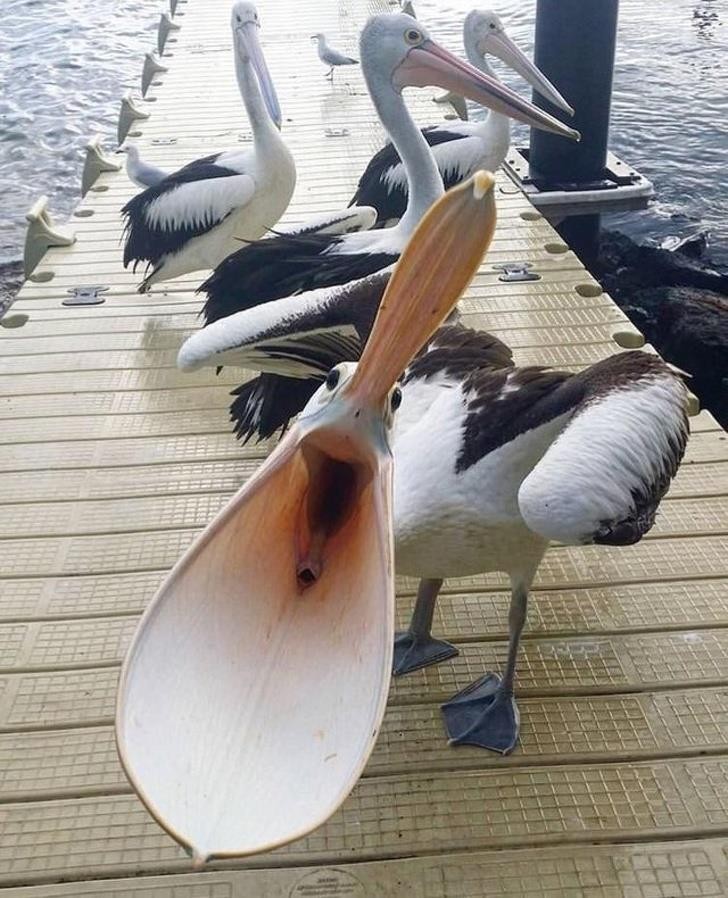 Ảnh: BrightSide Ảnh: BrightSide