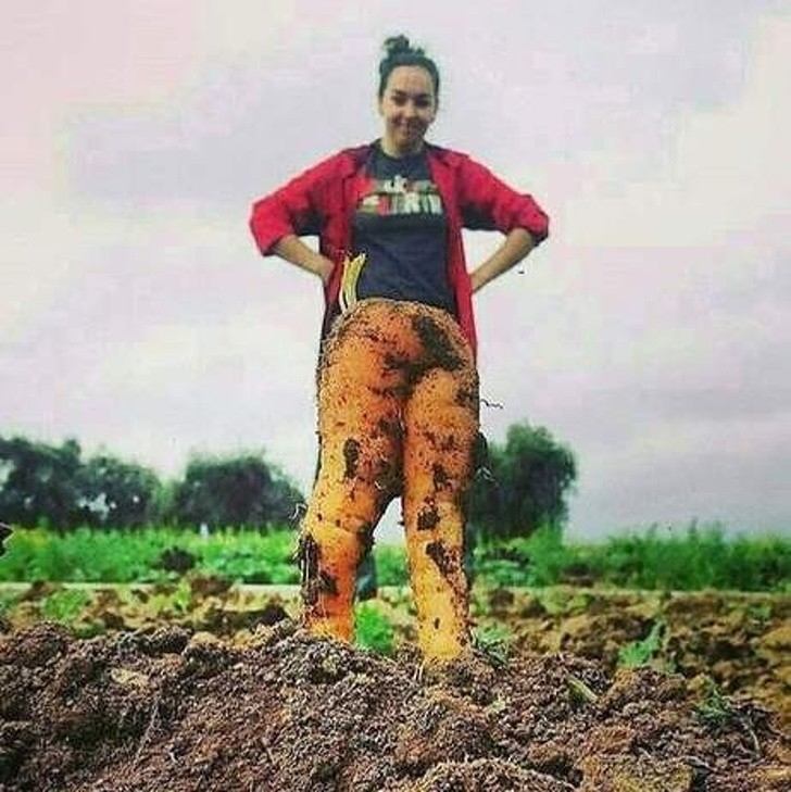 Ảnh: BrightSide Ảnh: BrightSide